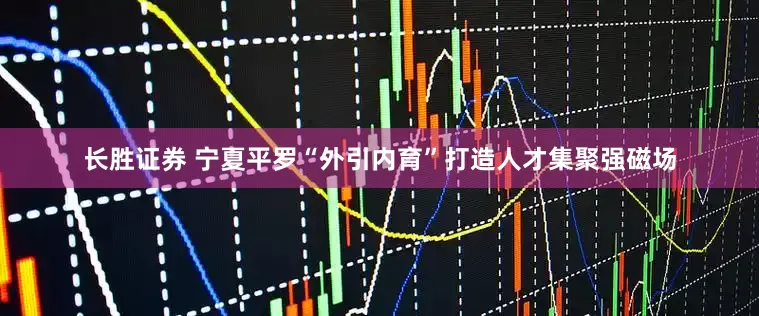 长胜证券 宁夏平罗“外引内育”打造人才集聚强磁场