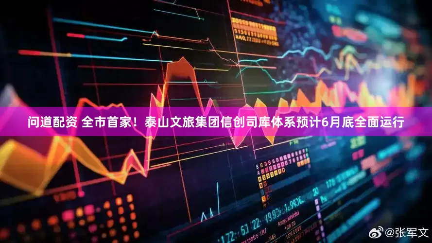 问道配资 全市首家！泰山文旅集团信创司库体系预计6月底全面运行
